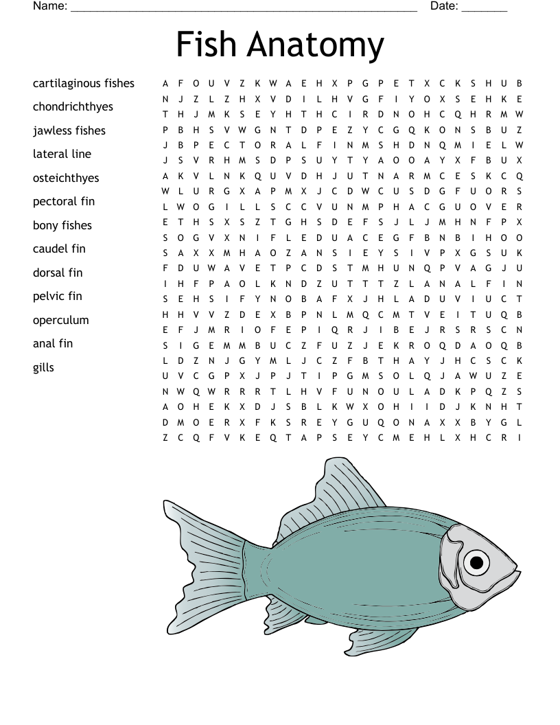 Fish Crossword Puzzle WordMint