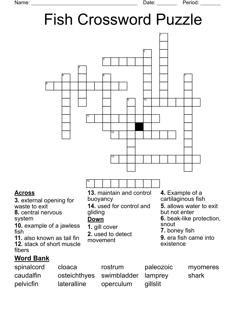Nile Wader Crossword Puzzle Clue