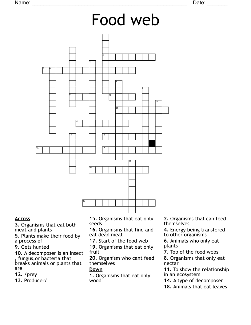 Food Web Crossword WordMint