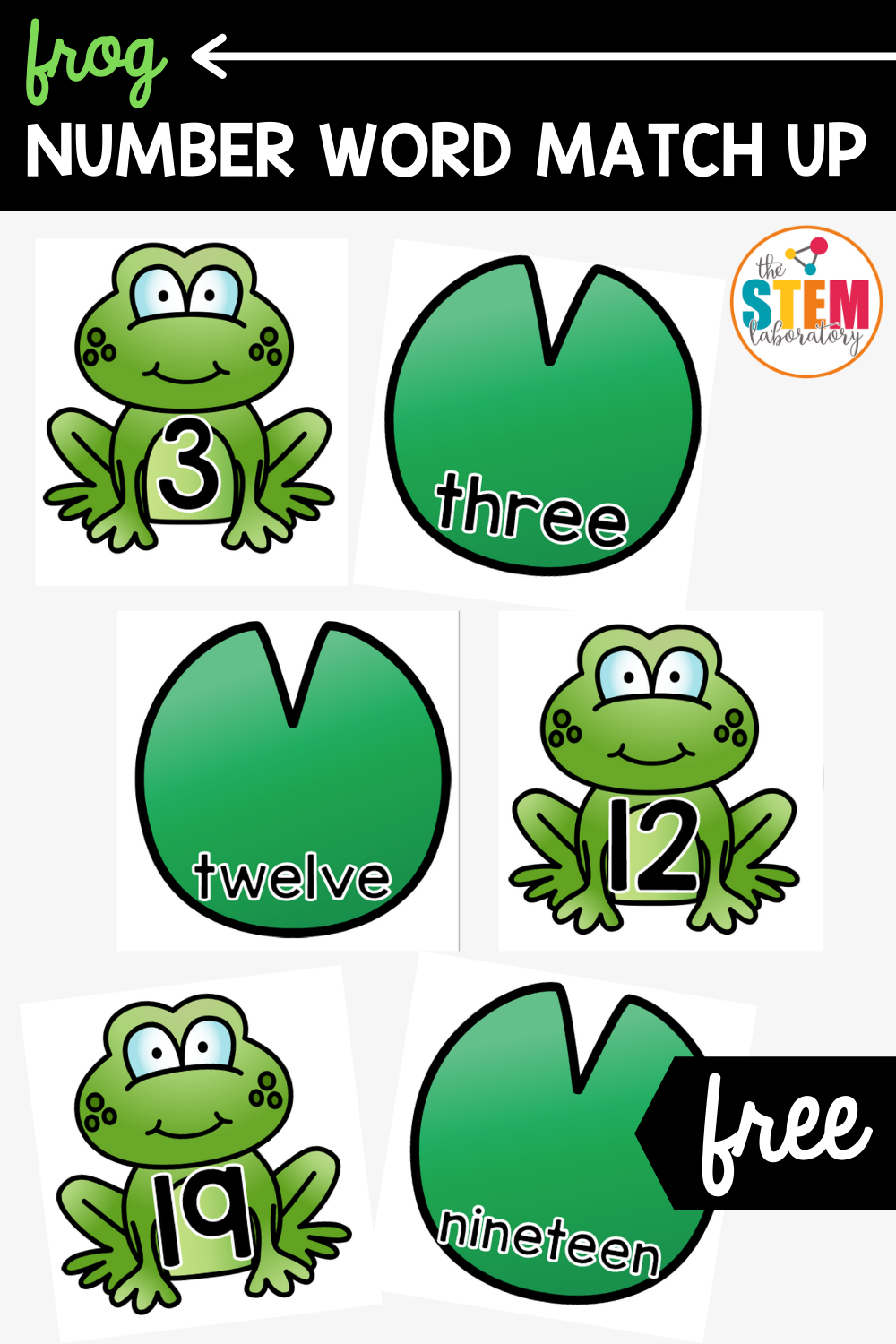 Spanish Frog Puzzle Worksheet Spanish Frog Puzzle Worksheet