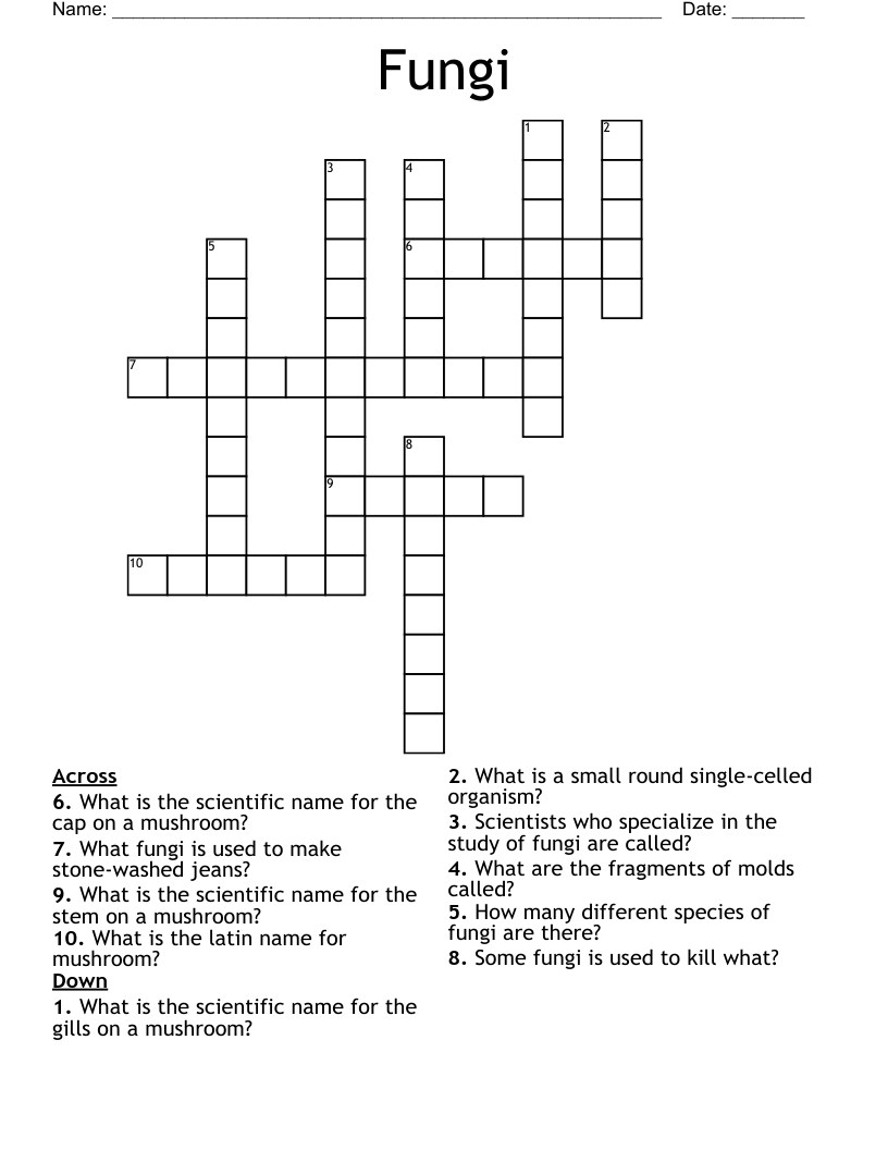 Fungi Crossword WordMint Fungi Crossword WordMint