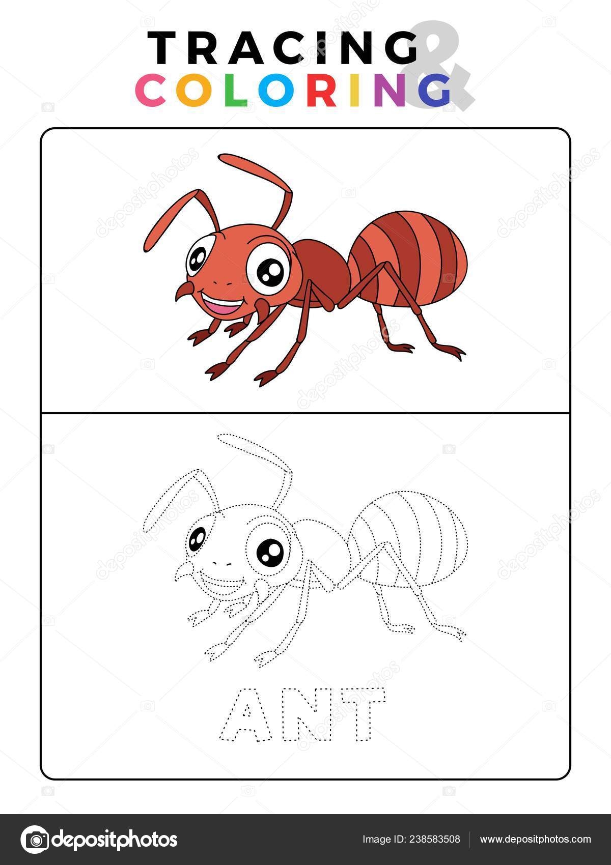Ant Puzzle Worksheet