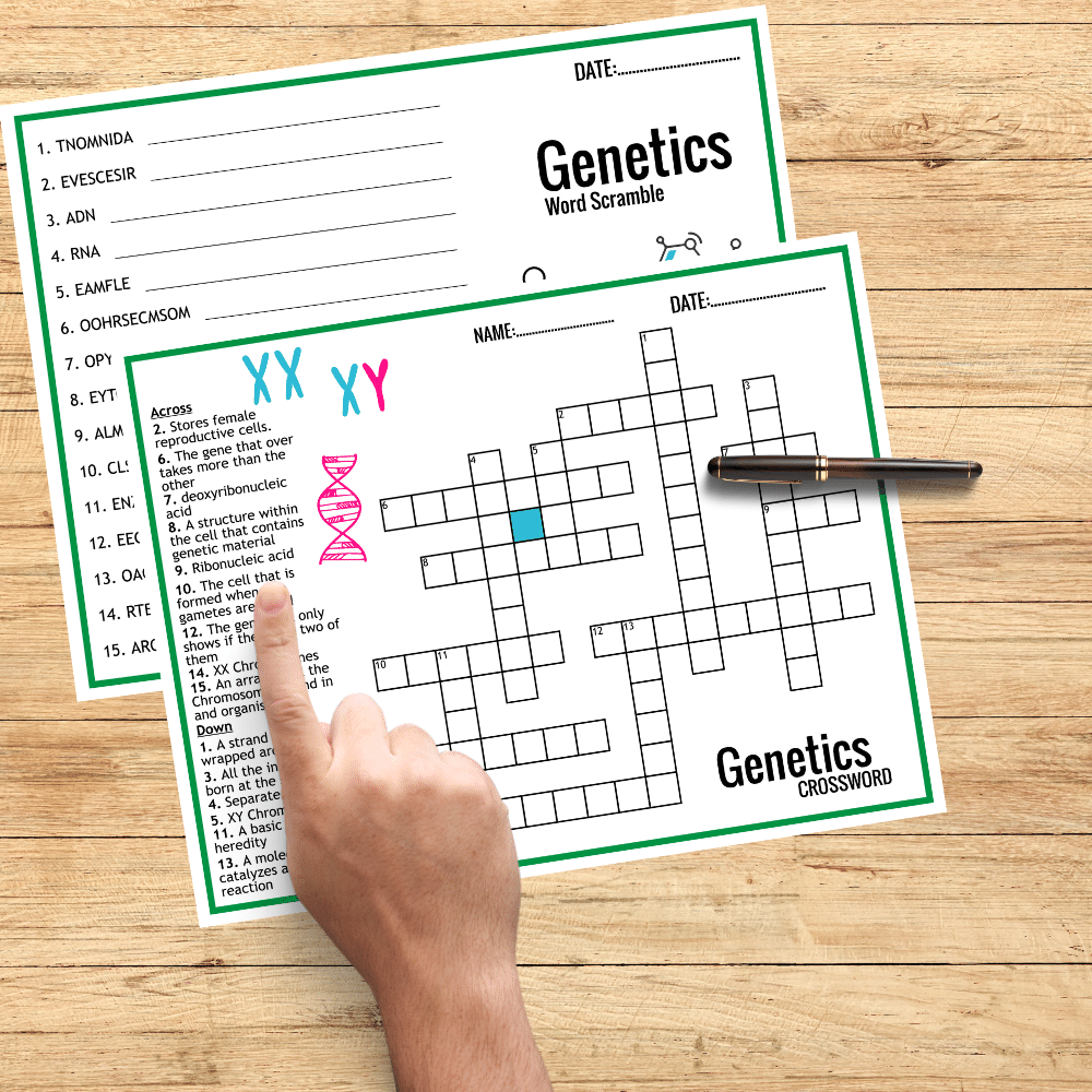 Genetics Vocabulary Activities Worksheets Wordssearch Crossword Word Scramb
