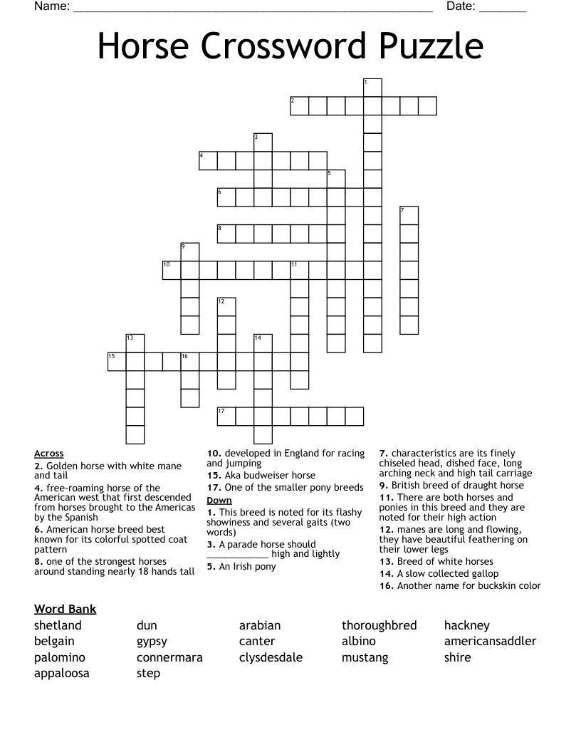 Horse Crossword Puzzle WordMint Horse Crossword Puzzle WordMint