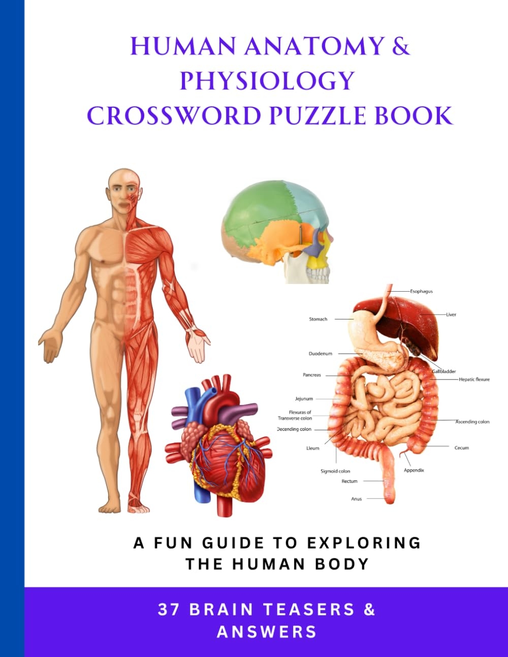 Human Anatomy U0026 Physiology Crossword Puzzle Book A Fun 