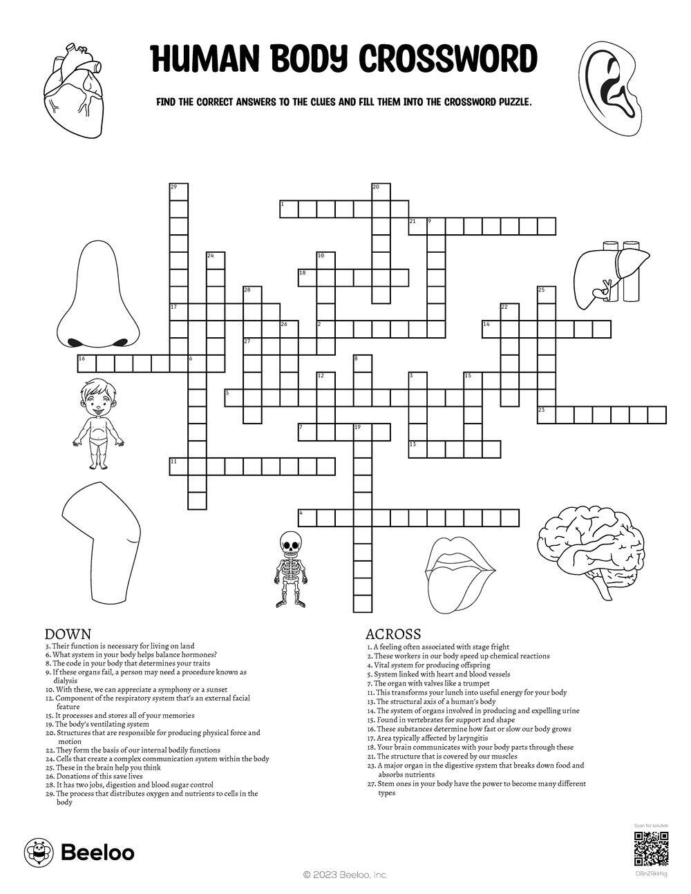 Body Systems Crossword Puzzle