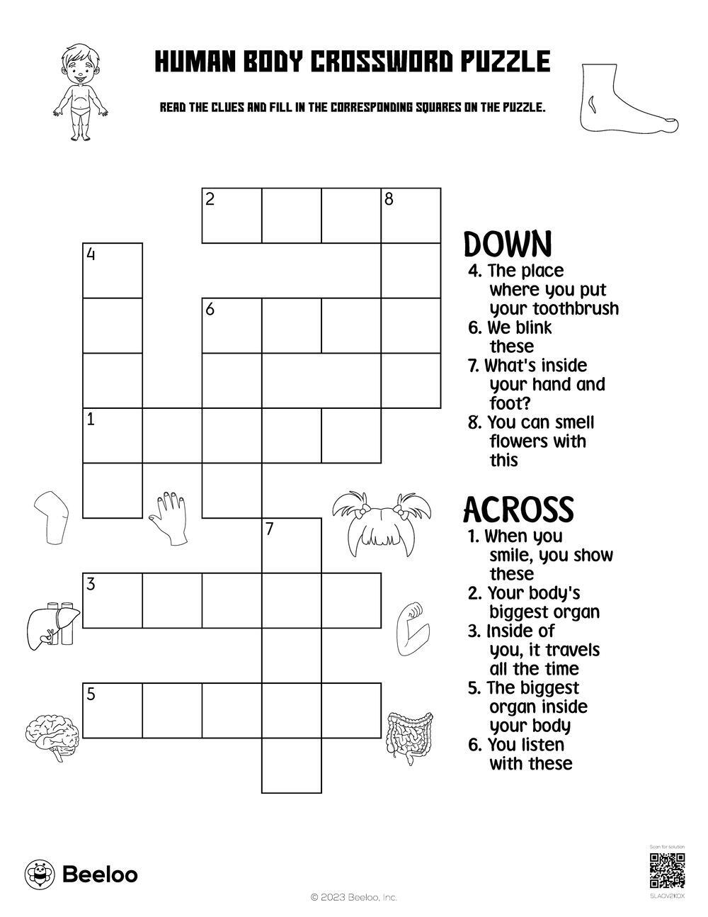 Human Body Crossword Puzzle Beeloo Printable Crafts And 