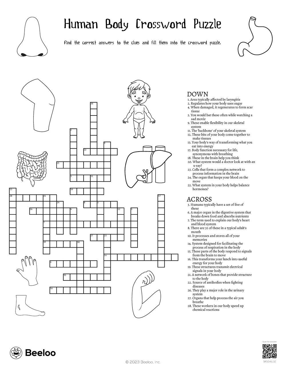 Human Body Crossword Puzzle Beeloo Printable Crafts And 