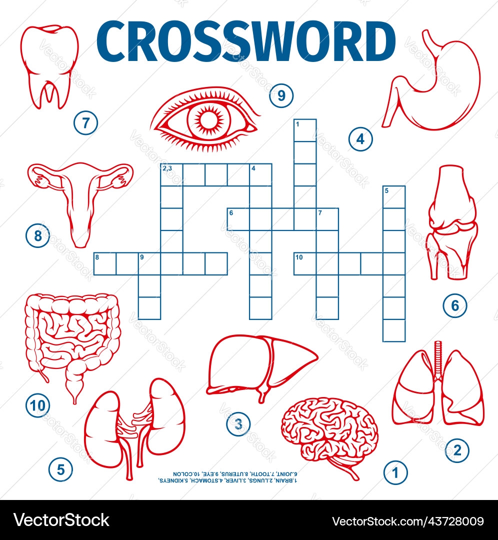 Bones Crossword Puzzle Bones Crossword Puzzle