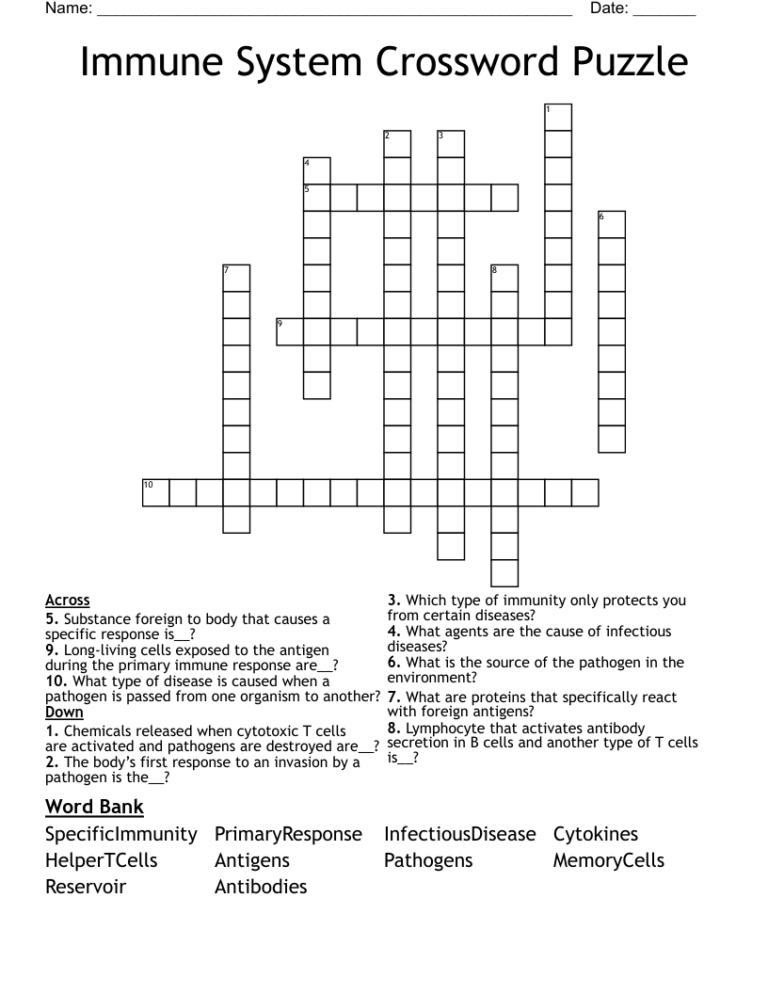 Immune System Crossword Puzzle WordMint
