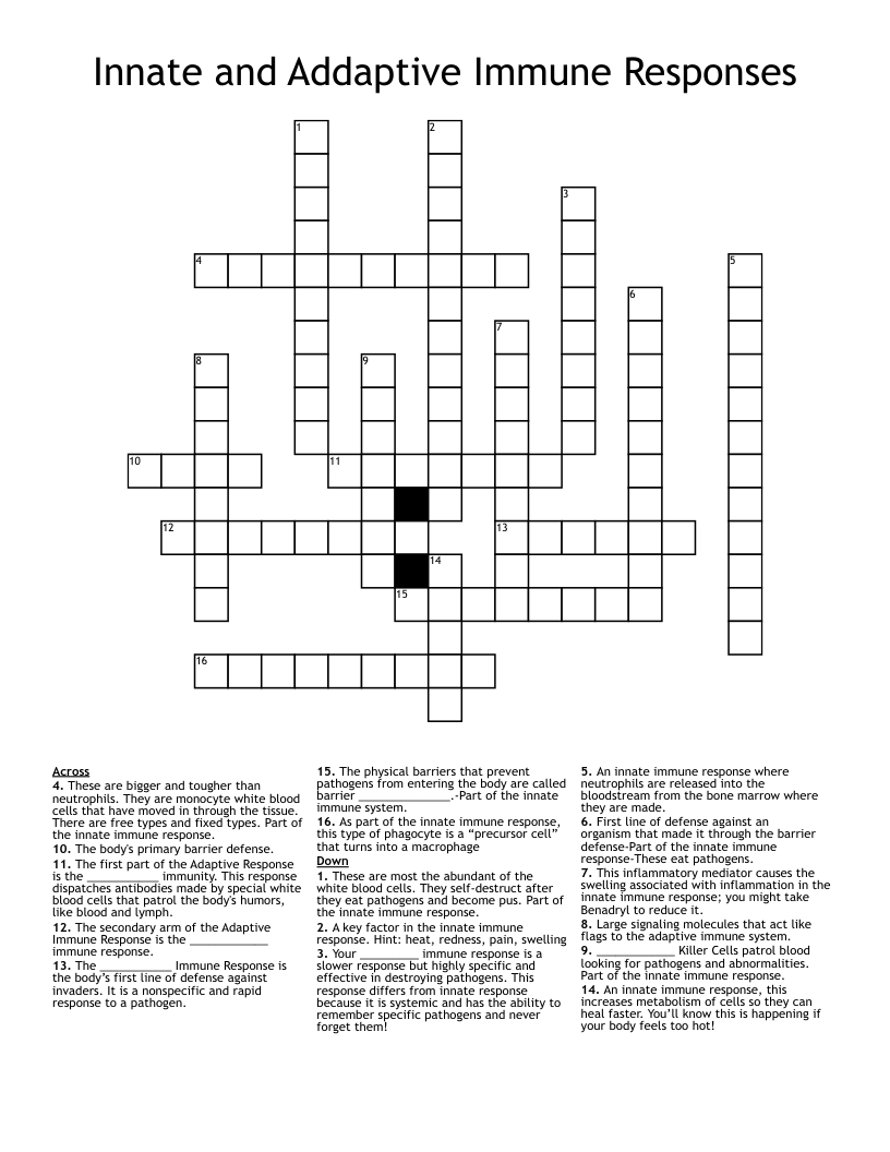 Innate And Addaptive Immune Responses Crossword WordMint Innate And Addaptive Immune Responses Crossword WordMint