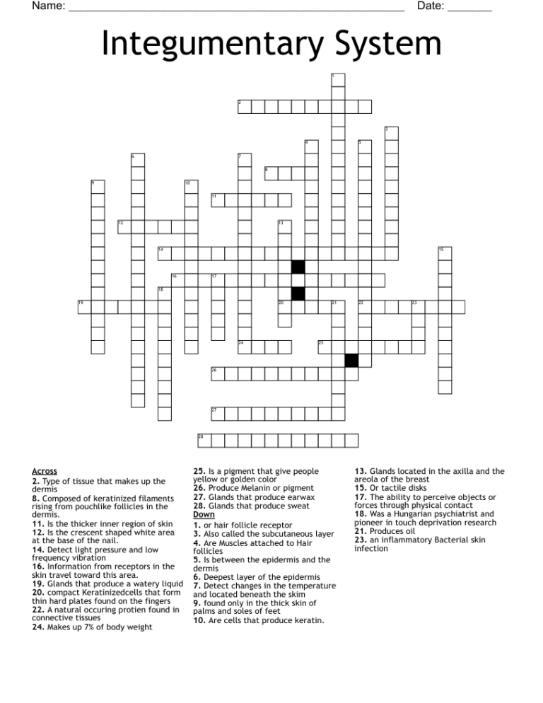 Integumentary System Crossword WordMint