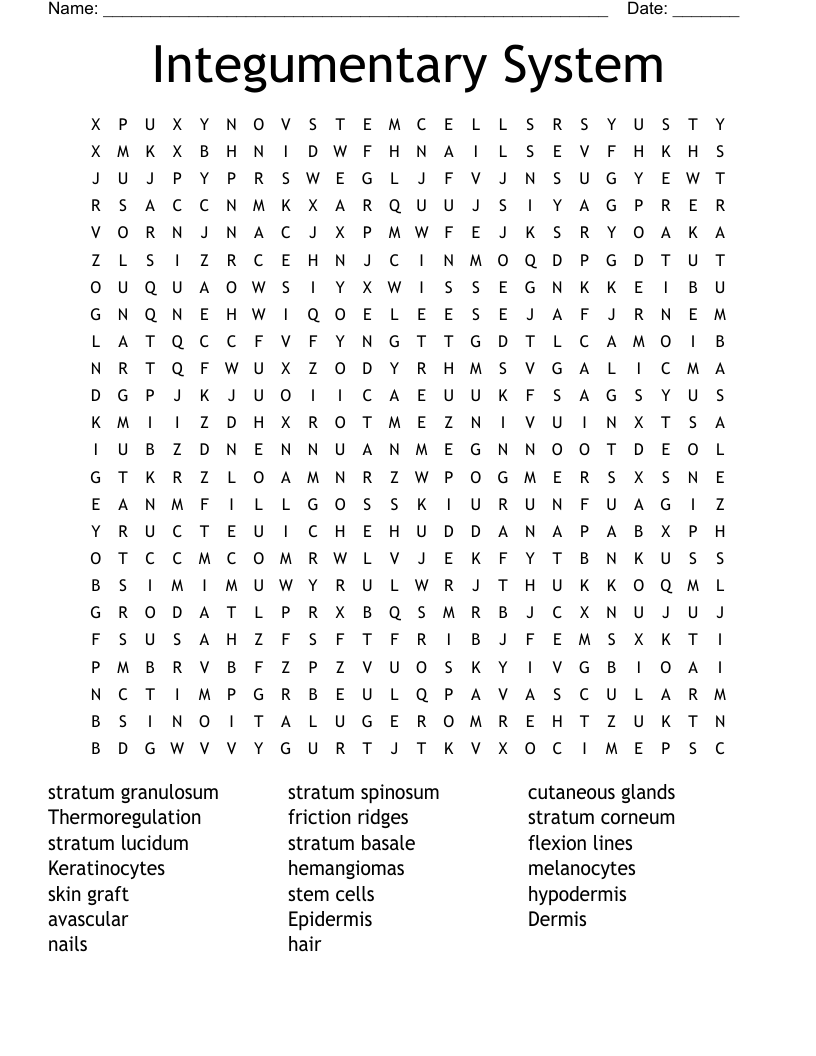 Integumentary System Word Search WordMint