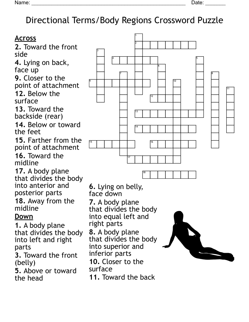 Kinesiology Vocabulary Crossword WordMint