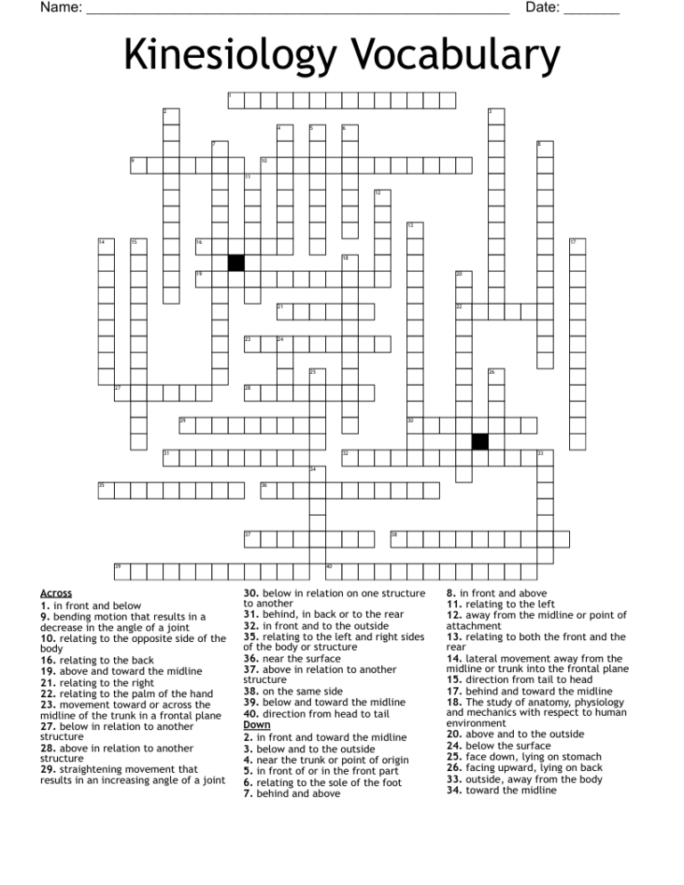 Kinesiology Vocabulary Crossword WordMint