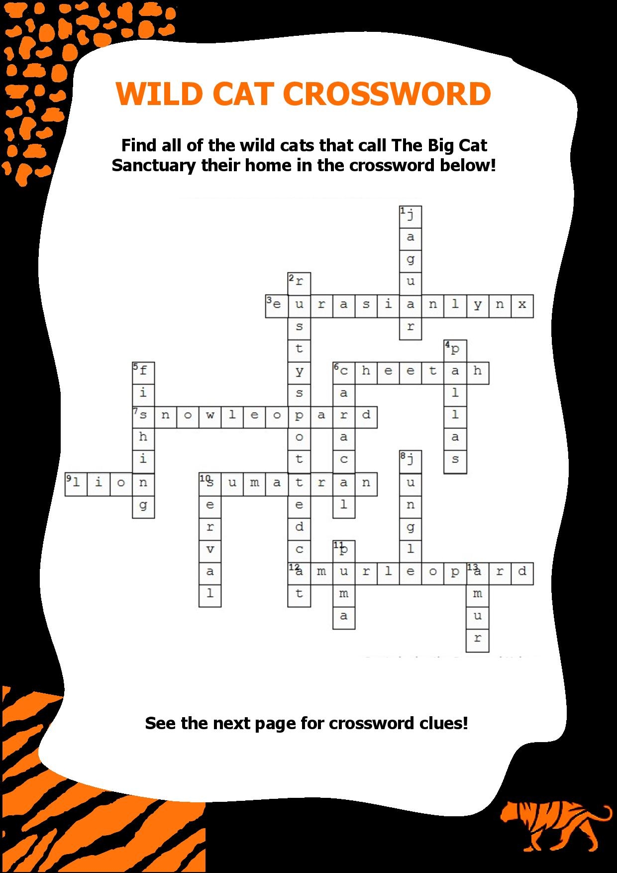 Learning Resources The Big Cat Sanctuary