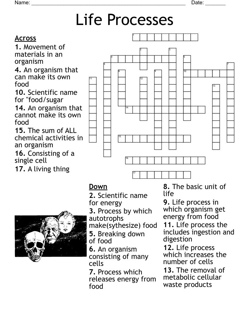 Life Science Crossword Puzzles Worksheets