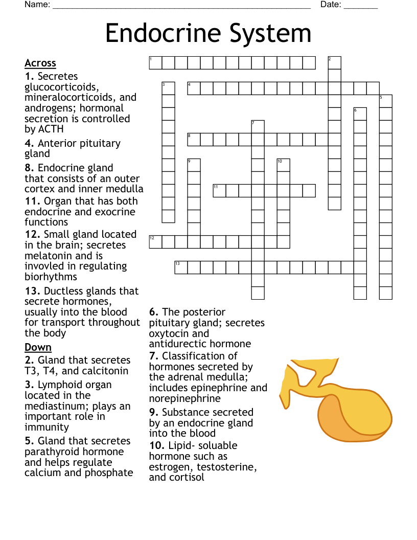 Lipids Crossword WordMint