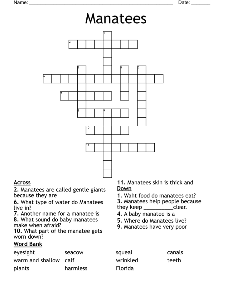 Manatees Crossword WordMint