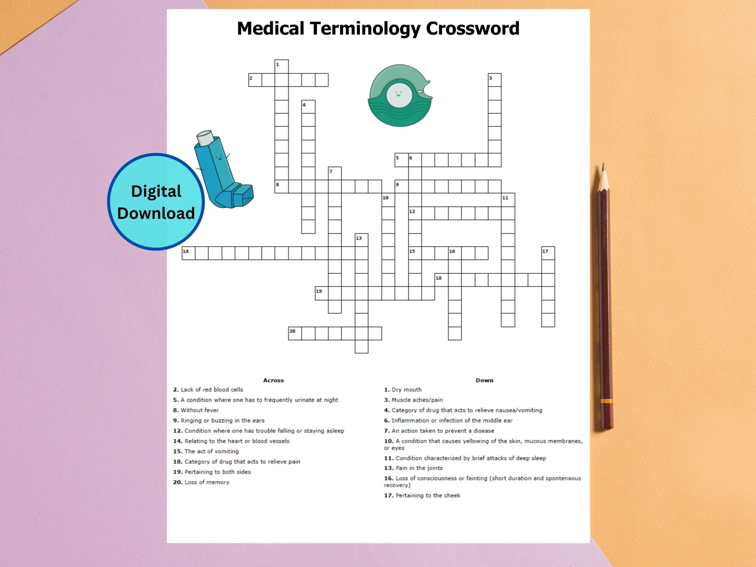 Anatomical Terminology Crossword Puzzle