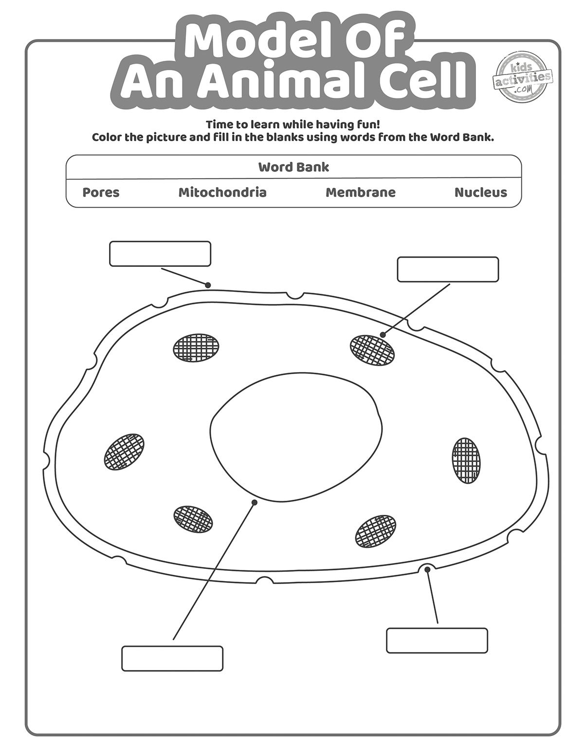 Animal Cell Puzzle Worksheet Animal Cell Puzzle Worksheet