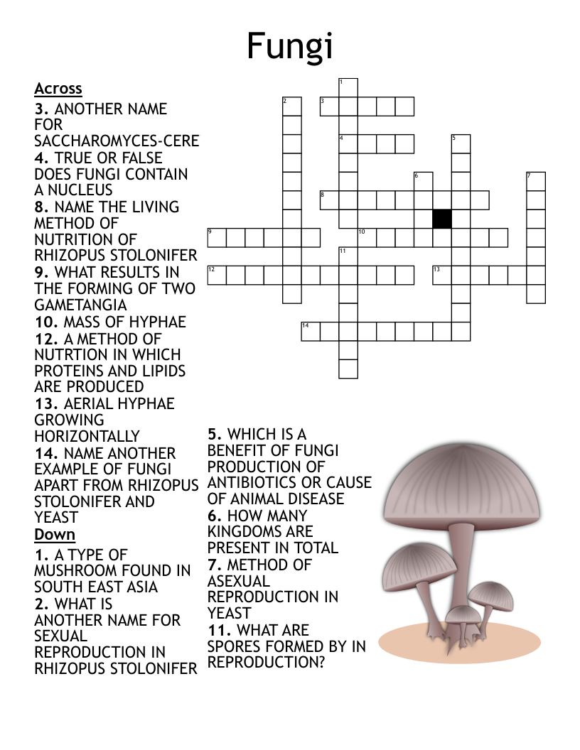 Mushroom Medley Test Your Knowledge Crossword WordMint Mushroom Medley Test Your Knowledge Crossword WordMint