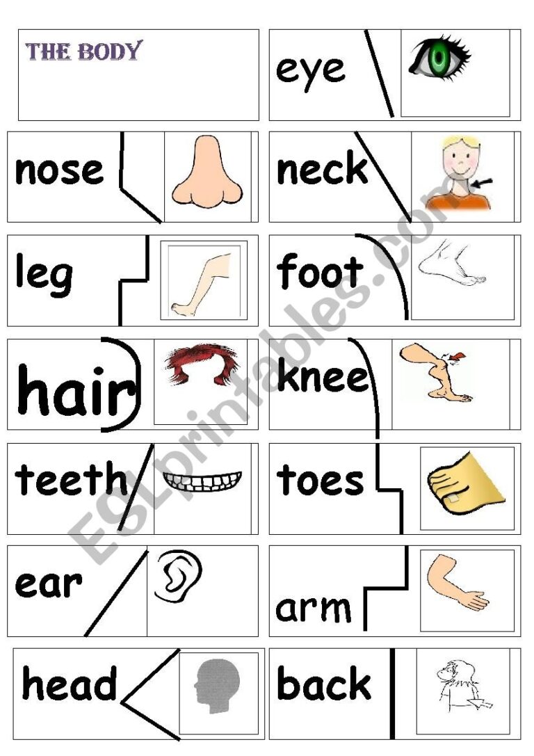 My Body Puzzle ESL Worksheet By Primpi