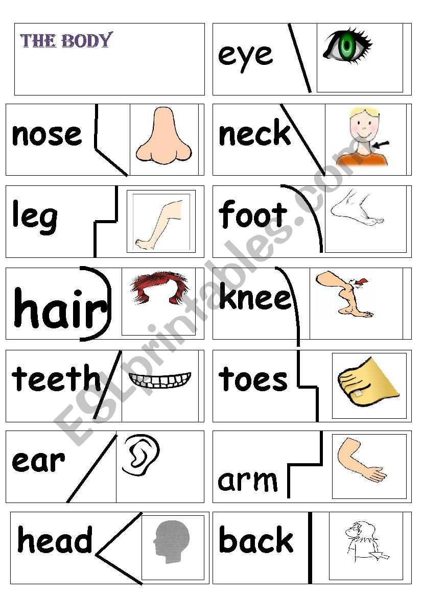 My Body Puzzle ESL Worksheet By Primpi