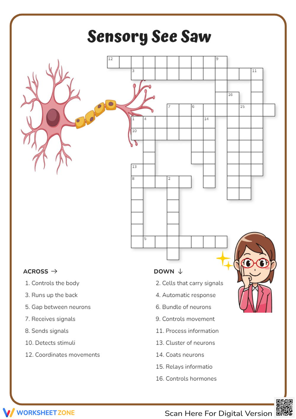 Nervous System Worksheets 2025
