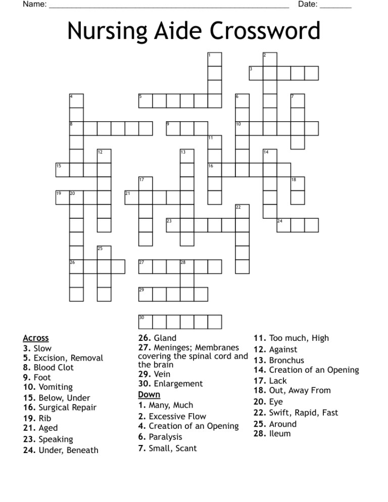 Nursing Aide Crossword WordMint