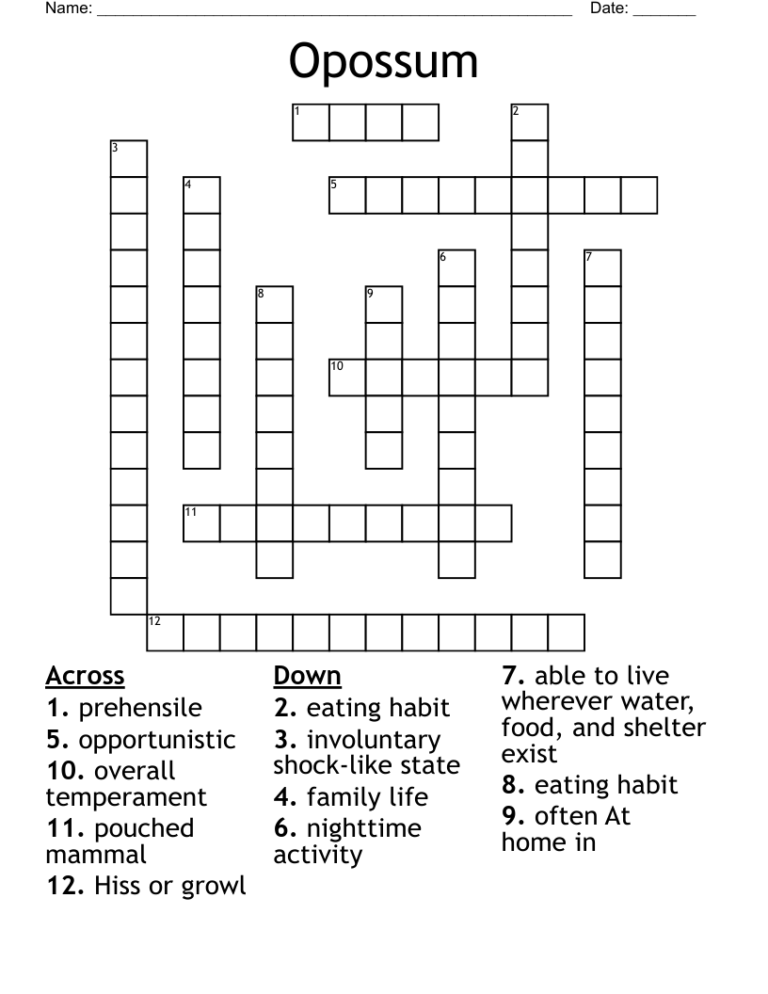 Opossum Crossword WordMint