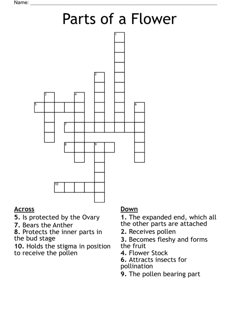 Parts Of A Flower Crossword WordMint