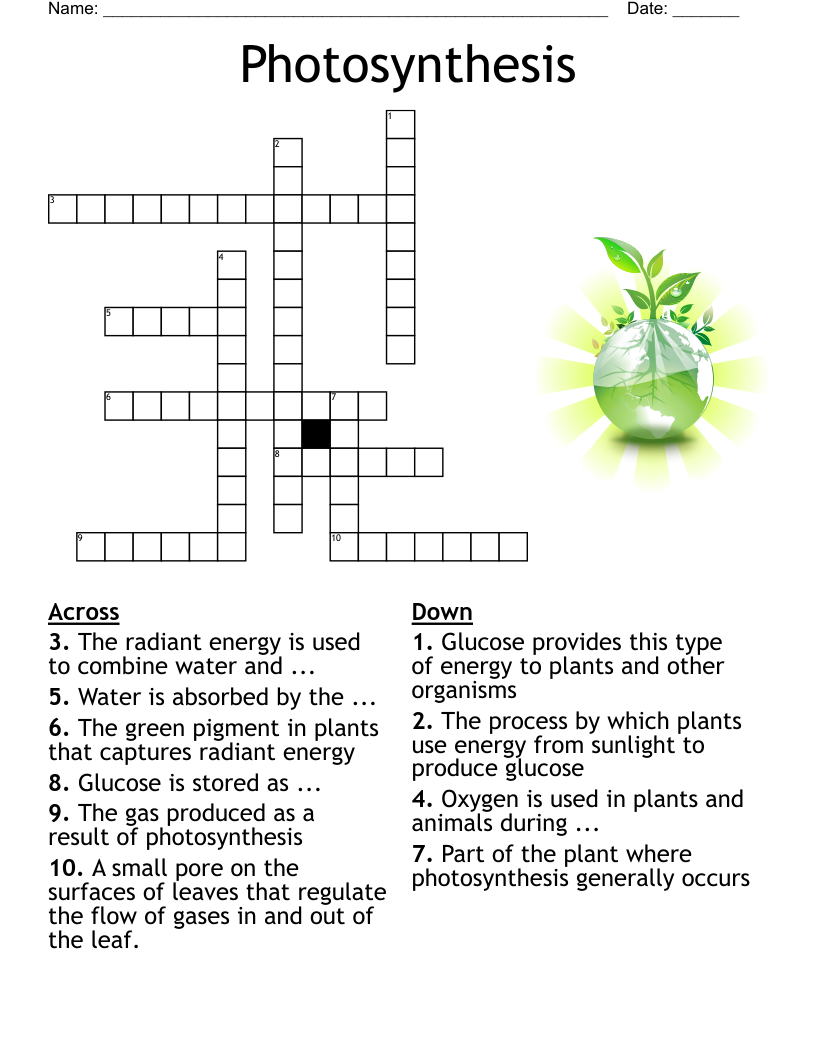 Photosynthesis And Respiration Crossword WordMint Photosynthesis And Respiration Crossword WordMint