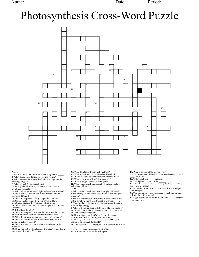 Photosynthesis Cross Word Puzzle Crossword WordMint Photosynthesis Cross Word Puzzle Crossword WordMint