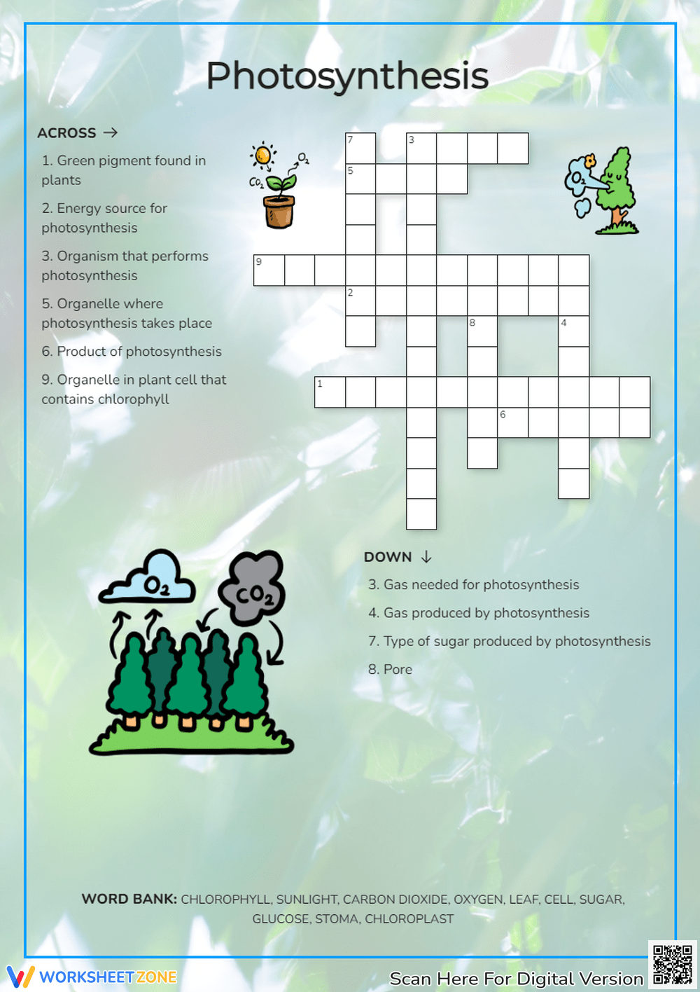 Photosynthesis Crossword Puzzle Worksheets 2025 Photosynthesis Crossword Puzzle Worksheets 2025