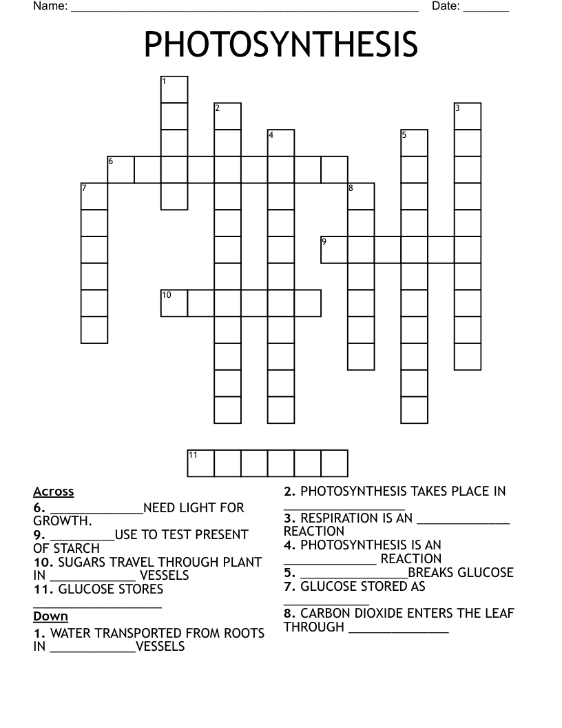 PHOTOSYNTHESIS Crossword WordMint PHOTOSYNTHESIS Crossword WordMint