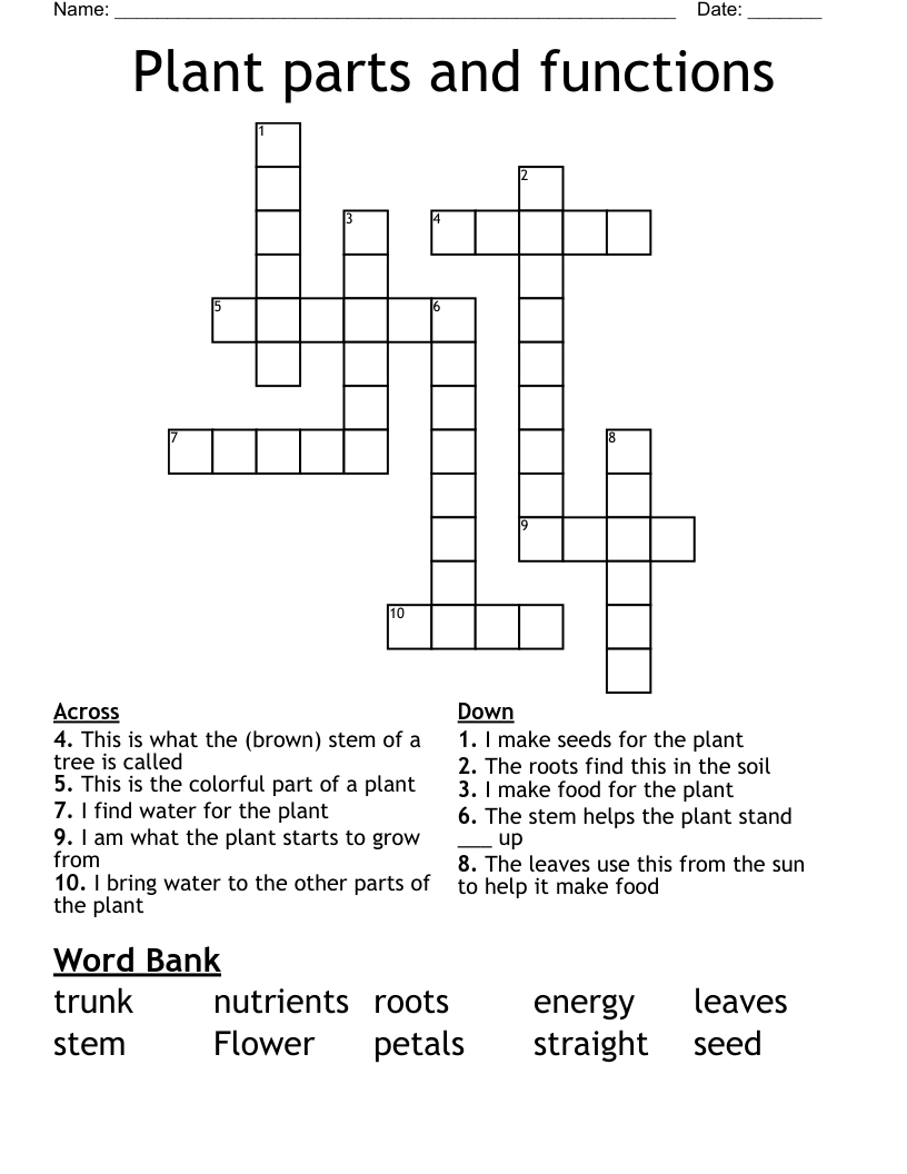 Plant Parts And Functions Crossword WordMint Plant Parts And Functions Crossword WordMint