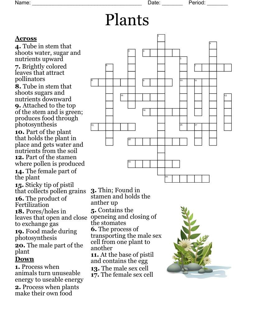 Plants Crossword WordMint