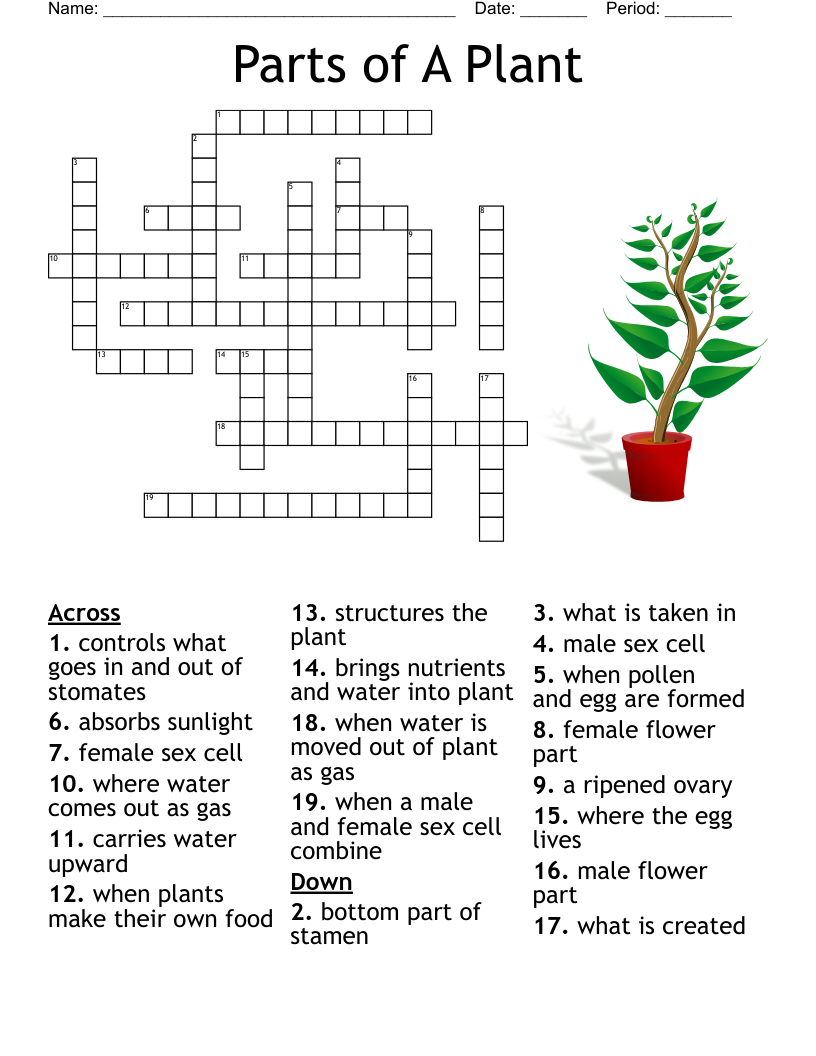 Plants Word Search WordMint Plants Word Search WordMint