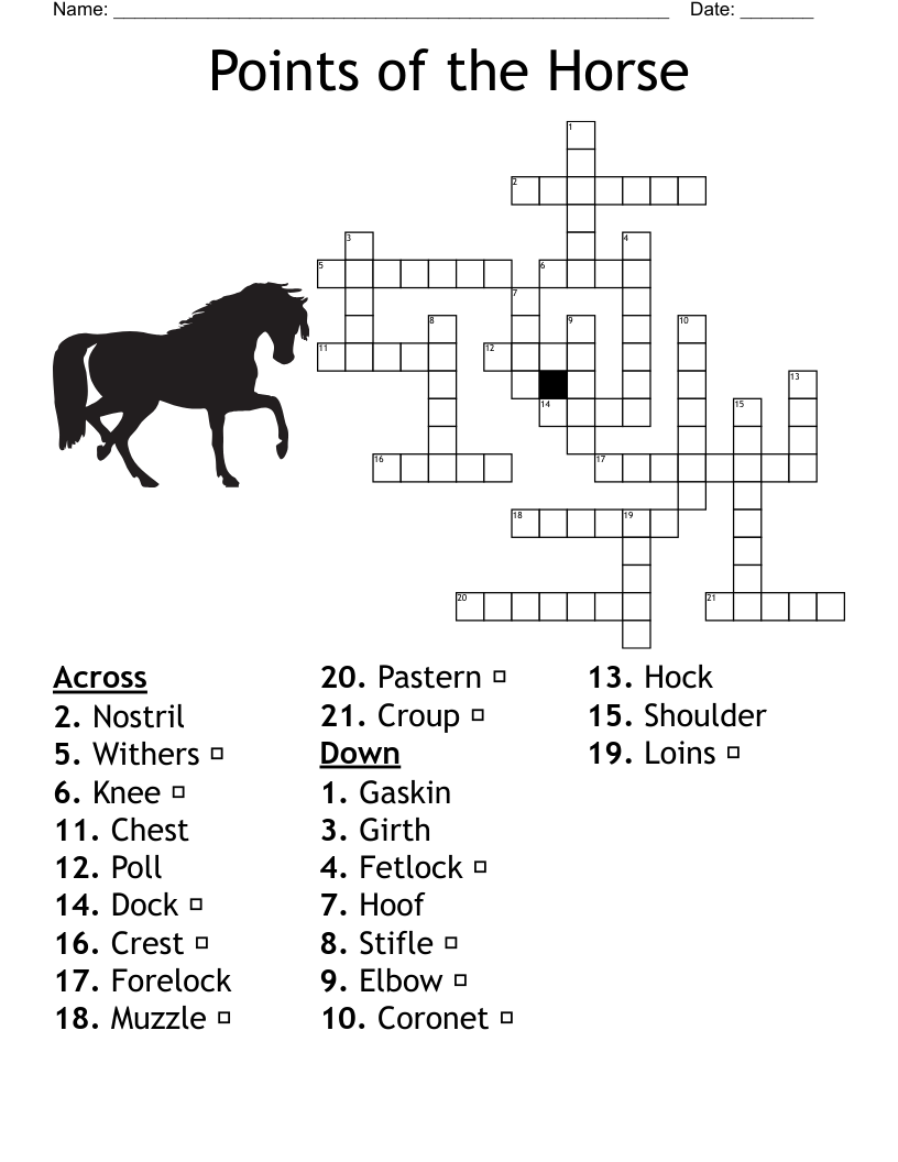Points Of The Horse Crossword WordMint Points Of The Horse Crossword WordMint