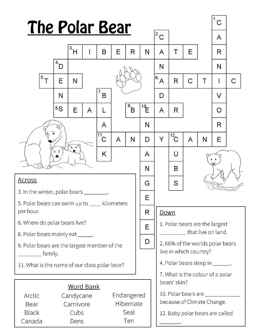 Polar Bear Crossword Polar Bear Crossword