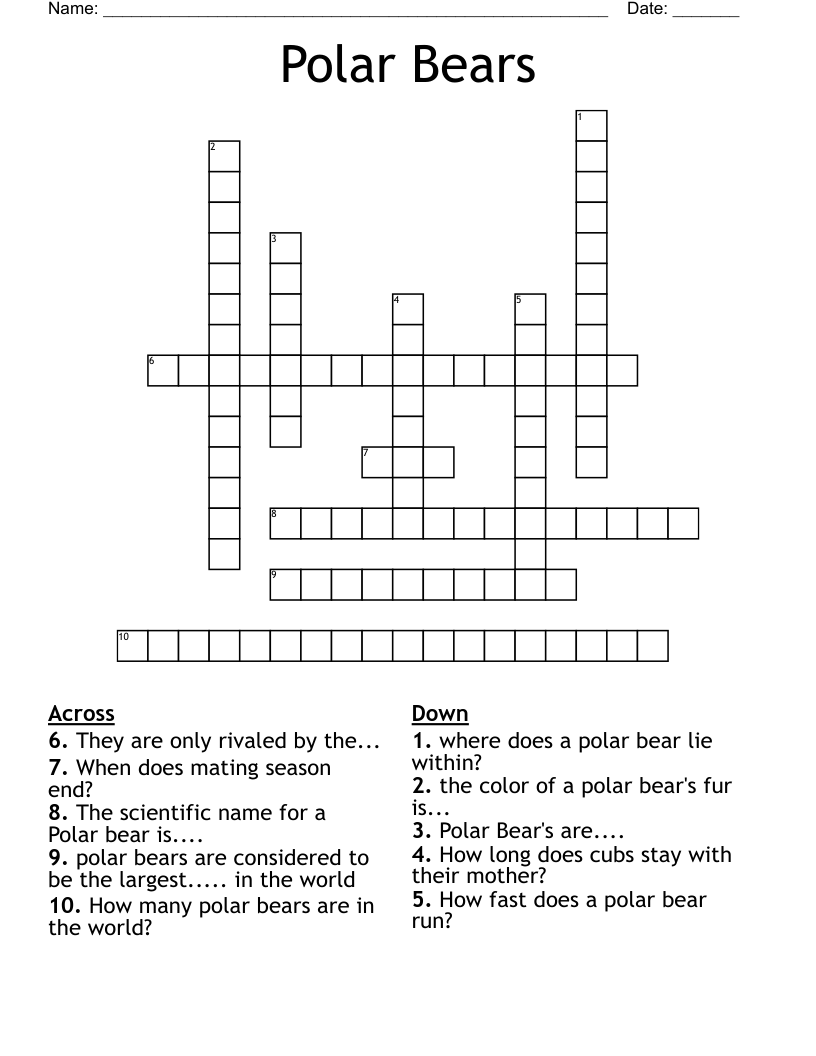 Polar Bears Crossword WordMint Polar Bears Crossword WordMint