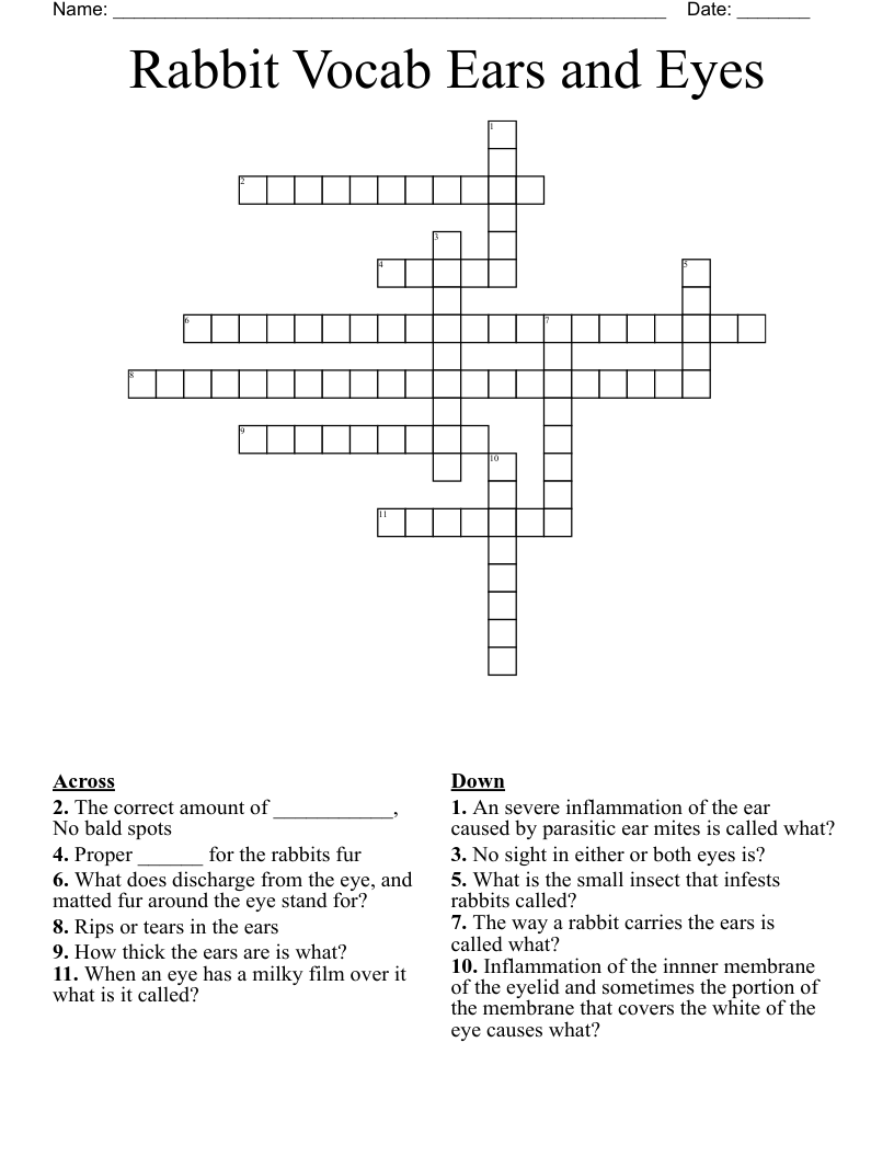 Rabbits Word Search WordMint