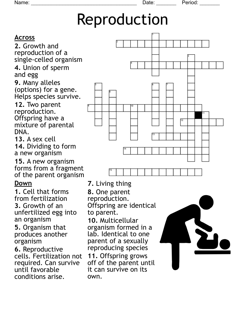 Reproduction Crossword WordMint