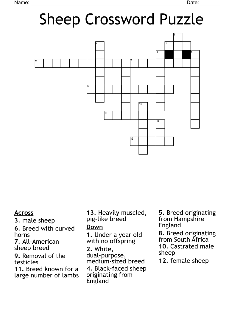 Sheep Crossword Puzzle WordMint Sheep Crossword Puzzle WordMint