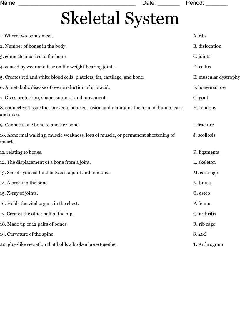 Skeletal System Worksheet WordMint