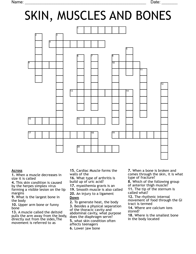 SKIN MUSCLES AND BONES Crossword WordMint SKIN MUSCLES AND BONES Crossword WordMint