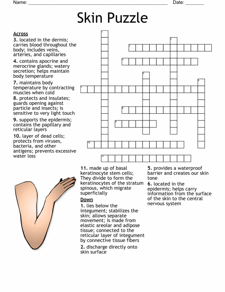 Skin Puzzle Crossword WordMint