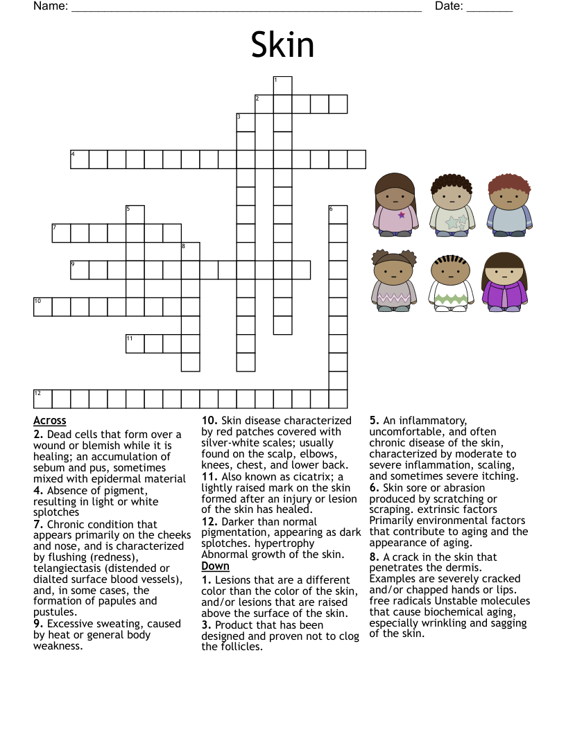 Skin Worksheet WordMint