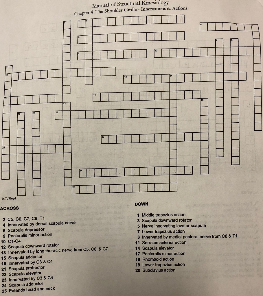 Kinesiology Self Study Worksheet Crossword Puzzle